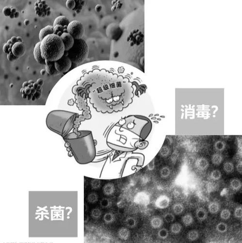 酒精浓度与杀虫效果的关系