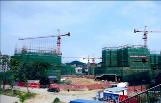 邛崃农资批发市场：大市场的热闹