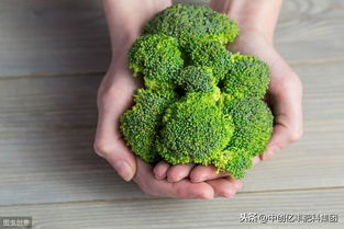 种植时间不对怎么办