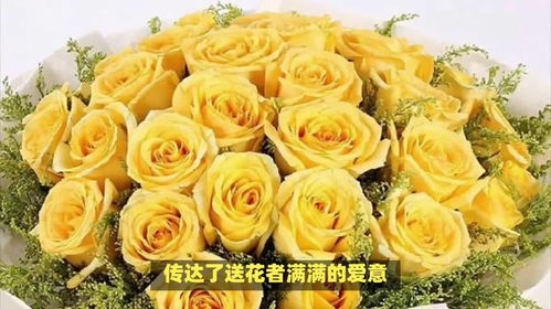 香槟玫瑰11朵代表什么含义？它们的花语和情感表达是怎样的