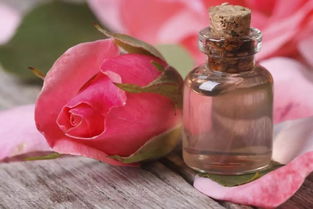 啤酒也嫩养花？真的吗？