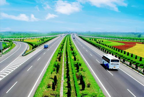 下次堵车时不妨观察下路边的植物