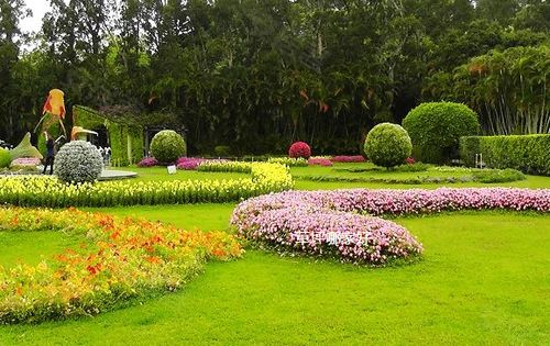 河堤上的草，那些默默守护的绿色英雄