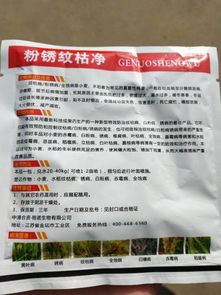 政策逐步完善， 成效初显