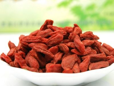 枸杞种植深度：精准深度，养根更养花