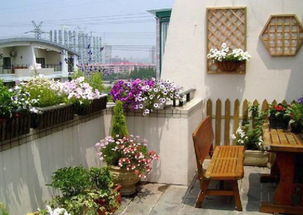 4. 玉兰花，花香满庭院