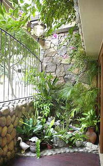 粉草种植的准备工作