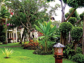 公园里的绿色魔法：种植那些草来打造生态景观？