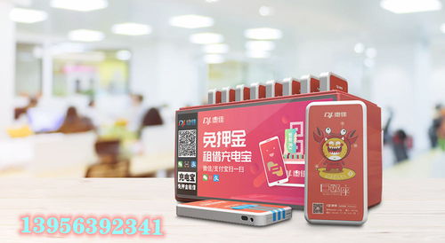 茶油君代理费用与OEM定制服务：一站式茶叶解决方案