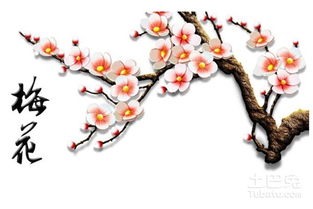 梅花分类之具体品种篇