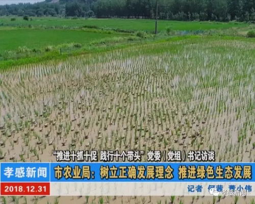 沙地柏的花色，是个谜