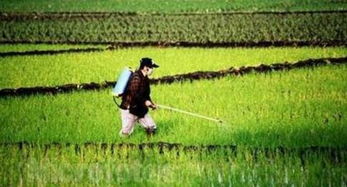 农药监管追溯平台建设