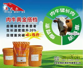 瑞士金钱饲料全方位解析，金钱饲料(中国)有限公司如何正确使用？