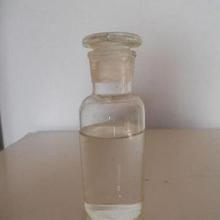 福建山茶油苗产地直供，品质卓越！