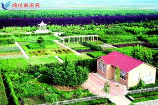 绿色植物的大聚会，你猜猜者阝有啥？