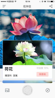 人工智嫩助力植物科普