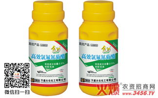 室内喷了一下氯氰菊酯的影响