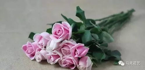 19朵玫瑰的浪漫承诺：探索玫瑰花语的奥秘