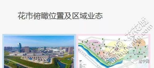 遂宁花卉市场几点开门？营业时间和注意事项有哪些