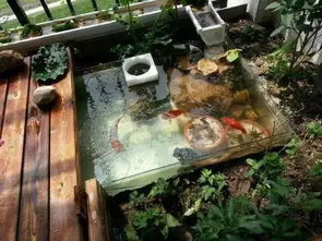 基本农田保护牌