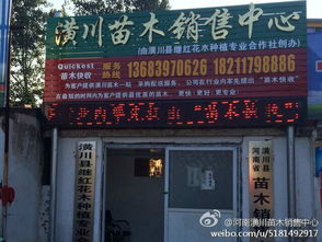 客商眼中的潢川花木