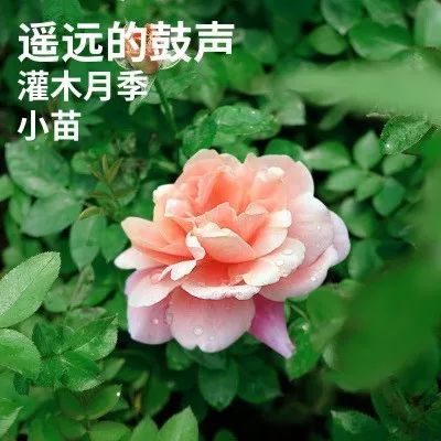 脱盆发货的影响