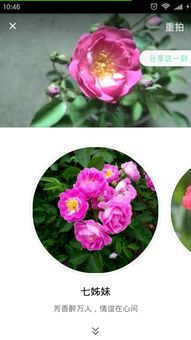 准确度与实用技巧