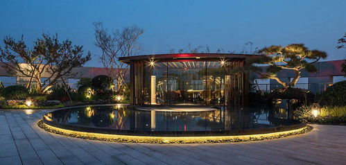 常见问题与解决方案