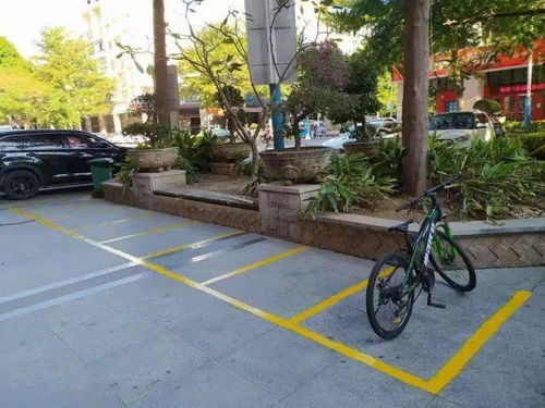 经营花草树木， 洞察人性是关键