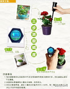 土壤酸碱失衡怎么办？如何调整至适宜状态