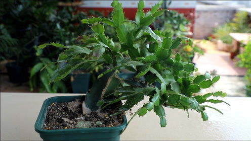 新手必知的三大保命法则