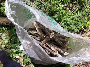 四、草木灰：古老的智慧结晶