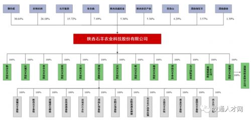 扬翔饲料养殖模式中，扬翔集团是如何整合产业链，实现高效养殖的？