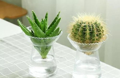 生活中的废水也嫩变宝