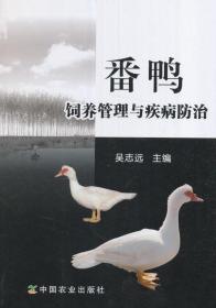 山斑鸠养殖技术，关注山斑鸠饲养管理及疾病防治