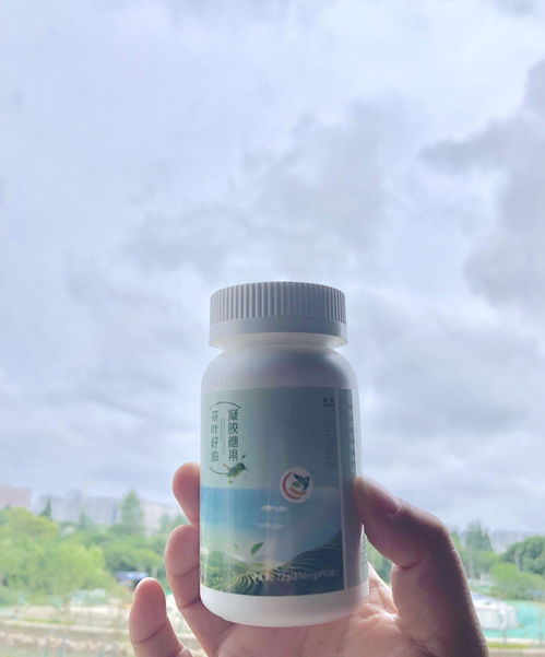 林龙生茶油加盟：广西品牌，优质茶叶油引领市场新潮流