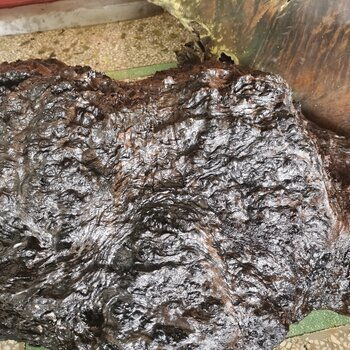 金丝楠木与阴沉木的价格探讨