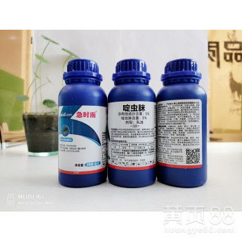 化学防治：强力措施控制桃蚜数量