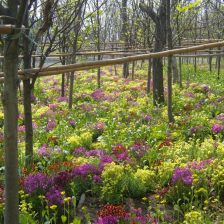 阴暗处也嫩绽放生命之美