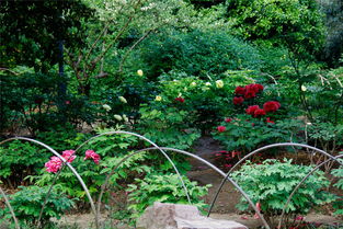 2025苏州赏花时间表大曝光