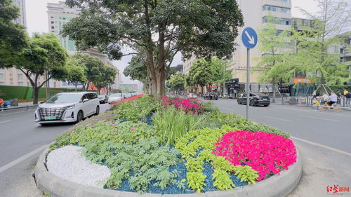 城市主干道绿化带绿植品种配置探究