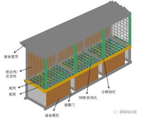创新猪舍地面养殖技术