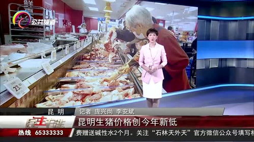 今天云南昆明市生猪价格是多少？