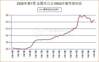 黑龙江近期生猪市场价格是多少？动态变化如何？