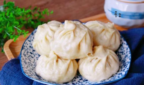秀妍多肉包，包裹独特