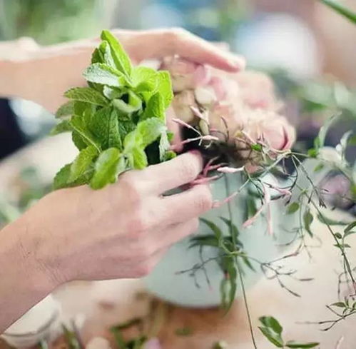插花技巧：让花持久绽放