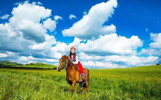 羊草：草原上的