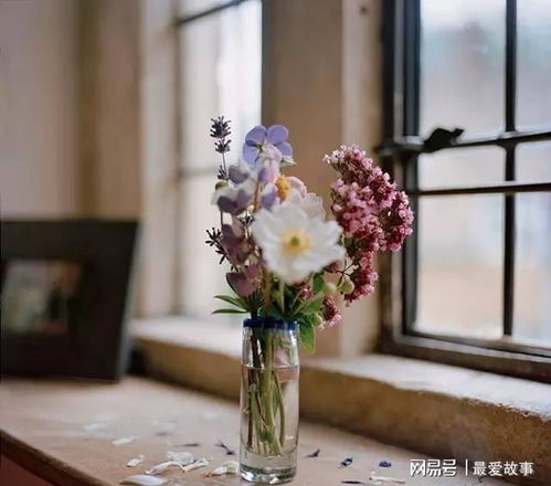 扦插后的救命锦囊