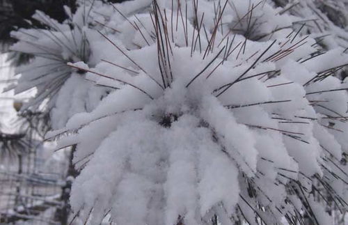 产地分布：地域广阔，各展风采