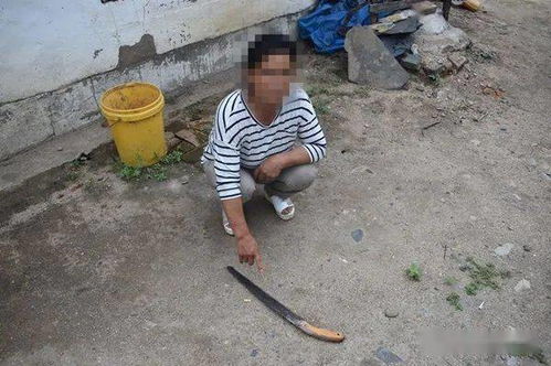 靖安派出所近期查获三起偷运木材车辆